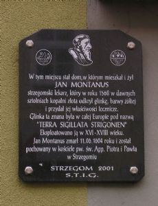 Johannes Montanus