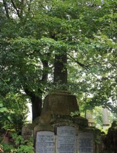 Sir Thomas Glen-Coats, 1st Baronet