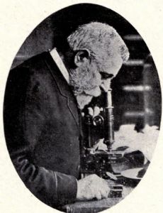Édouard Ernest Prillieux