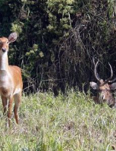 Manipur Zoological Garden