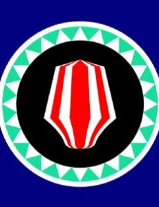 President of the Autonomous Region of Bougainville