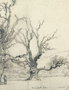 Henry Harris Lines