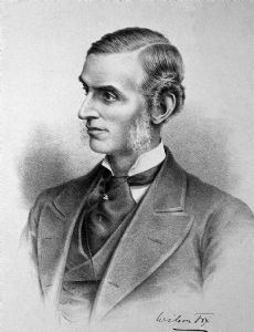 Wilson Fox