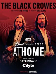 Budweiser Stage at Home