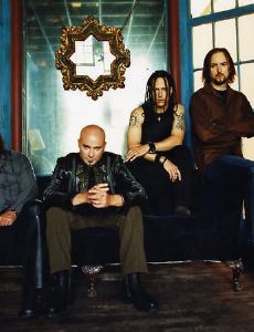 Disturbed