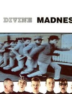 Divine Madness (Madness album)