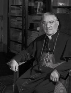 Adeodato Giovanni Piazza