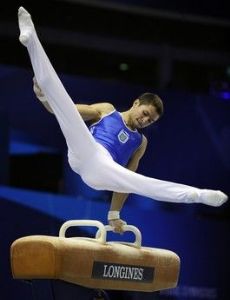 Roman Volodymyrovych Zozulya