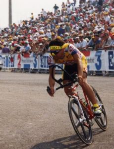 Stefano Colagè