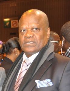 Henri Djombo
