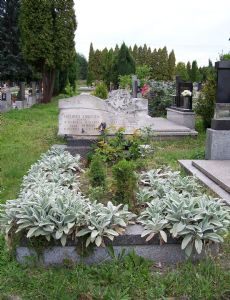 Henryk Jasiczek