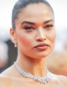 Shanina Shaik