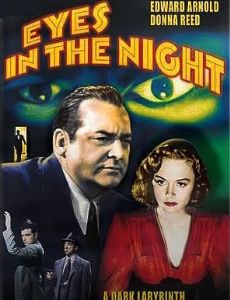 Eyes in the Night
