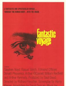 Fantastic Voyage
