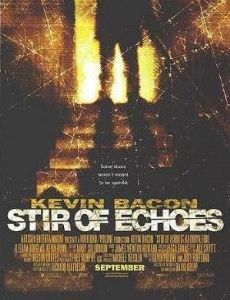 Stir of Echoes