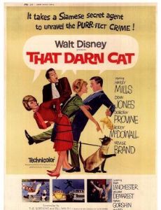 That Darn Cat!