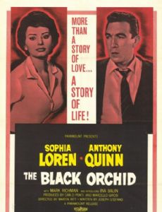 The Black Orchid
