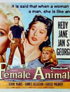 The Female Animal