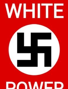 National Socialist Party of America