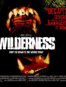 Wilderness