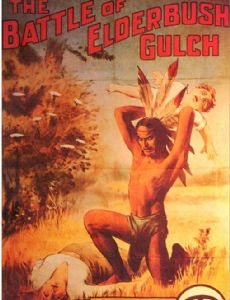 The Battle of Elderbush Gulch