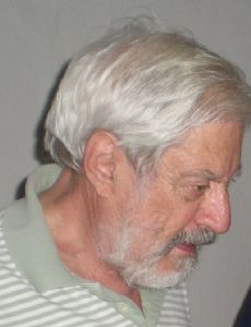 Italo Insolera