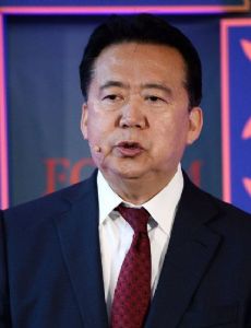 Meng Hongwei