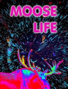 Moose Life