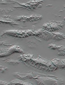 Shuttle Radar Topography Mission