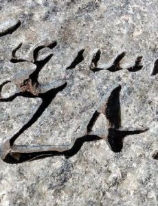 Zipporah Potter Atkins