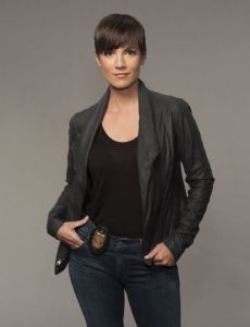 NCIS Special Agent Brody