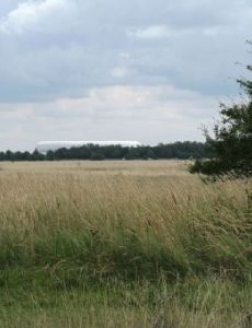 Panzerwiese