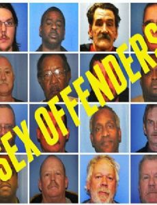 Sex offender