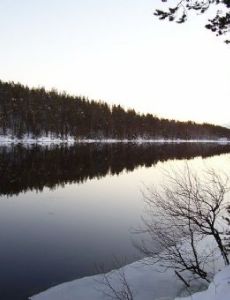 Niva (river)