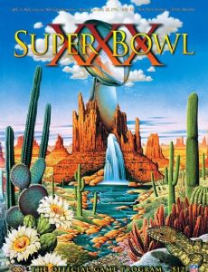 Super Bowl XXX
