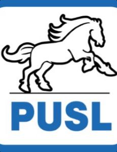Social Liberal Humanist Party