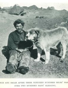 Ernest Joyce