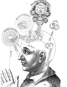 Consciousness