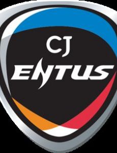 CJ Entus