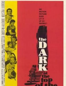 The Dark at the Top of the Stairs