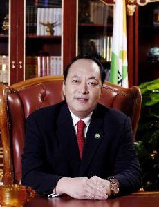 Li Jinyuan (businessman)