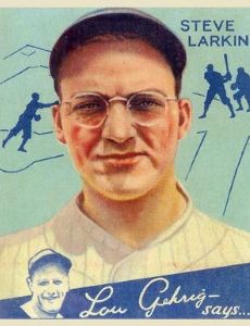 Steve Larkin