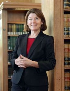 Lynn Stout