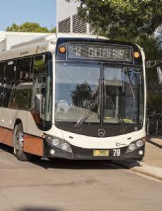Darwinbus