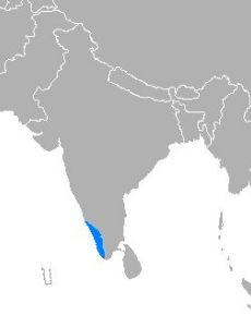 Malayalam