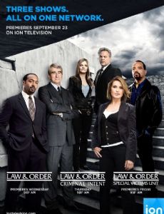 Law & Order (franchise)
