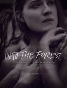 Into the Forest