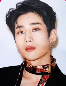 Han Seung-woo