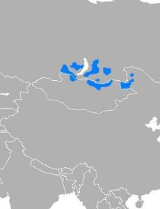Buryat language