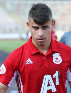 Mitko Mitkov